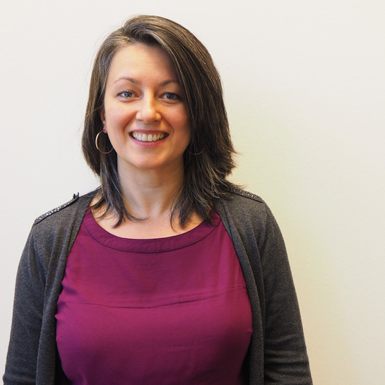 vividus-international-hh