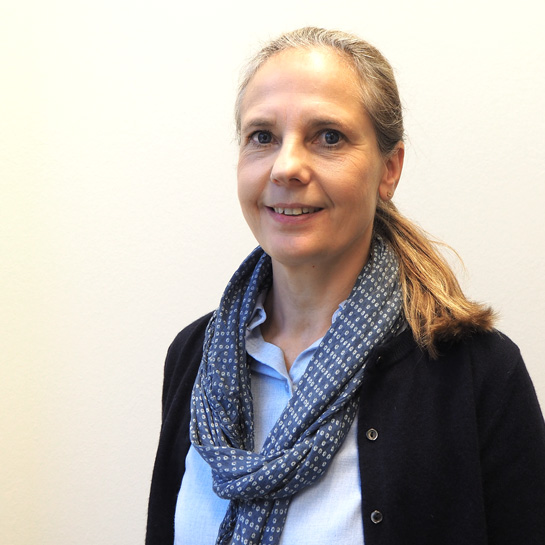 vividus-international-kk