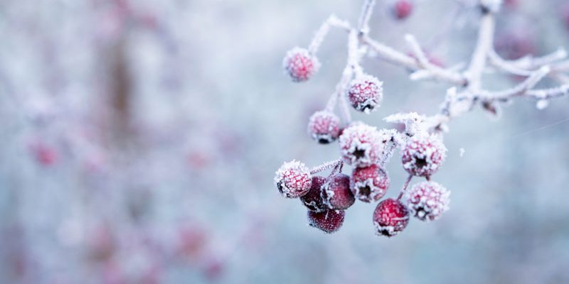 va-gedaechtnistraining-senioren-woertersuchen